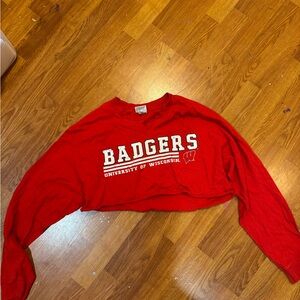 Red University of Wisconsin Badgers Cropped Long Sleeve Tee